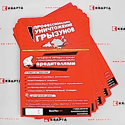 Листовки, цифровая печать. Листовки, цифровая печать.