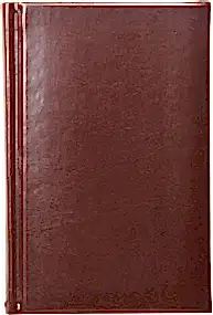 Ежедневник недатированный А6, Image, коричневый