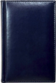 Ежедневник недатированный А6, Esprit, синий Ежедневник недатированный А6, Esprit, синий