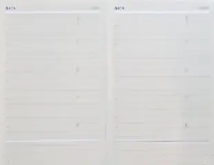 Ежедневник недатированный А6, Image, синий