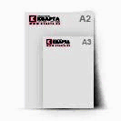 Плакаты большие