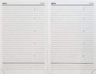 Ежедневник недатированный А6, Liga, серебряный