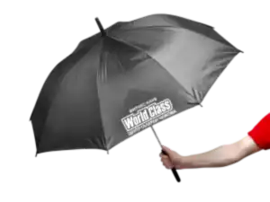 Зонты с логотипом