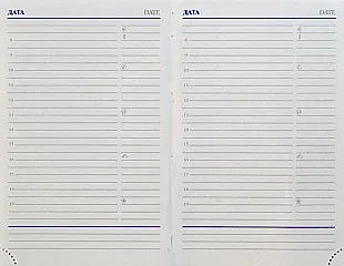 Ежедневник недатированный А6, Nature, оранжевый Ежедневник недатированный А6, Nature, оранжевый